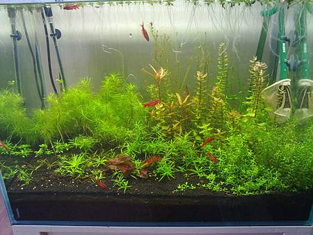 201301241427 201301241427