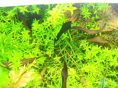 2012/12/24 2012/12/24