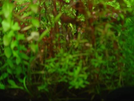 2012/12/24 2012/12/24