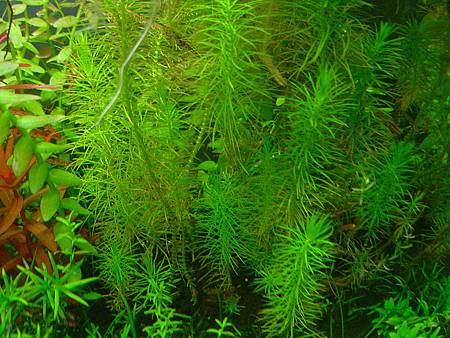 2012/12/24 2012/12/24