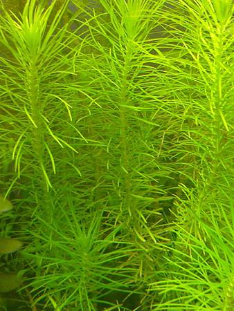 201302141511 201302141511