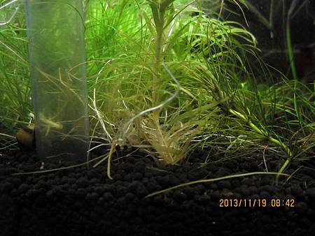 2013/11/19 2013/11/19