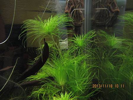 2013/11/18 2013/11/18