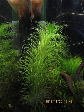 2013/11/20 2013/11/20