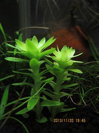 2013/11/20 2013/11/20