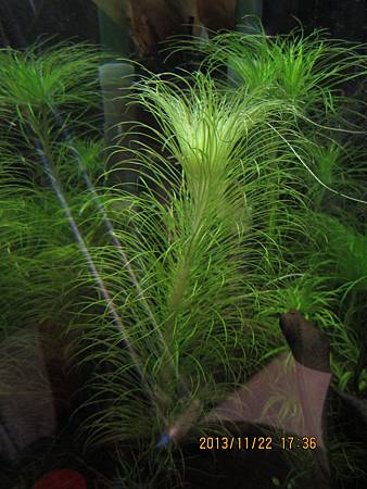 2013/11/22 2013/11/22