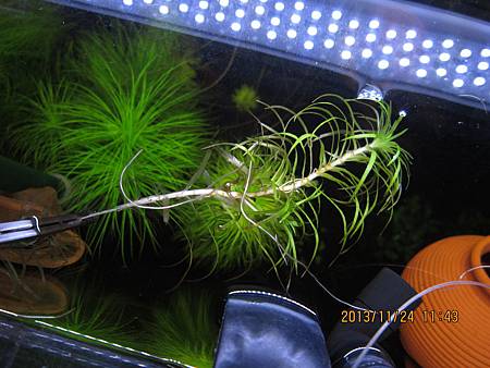 2013/11/24 2013/11/24