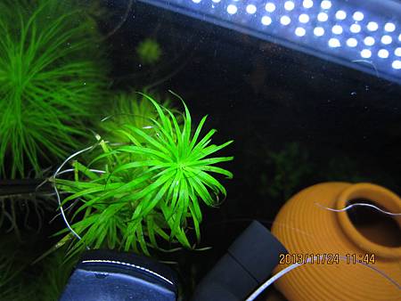 2013/11/24 2013/11/24