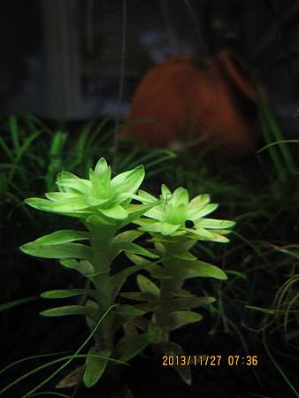 2013/11/27 2013/11/27