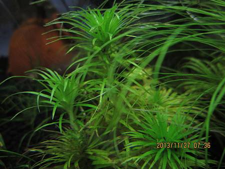 2013/11/27 2013/11/27