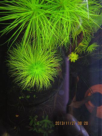 2013/11/27 2013/11/27