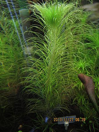 2013/11/27 2013/11/27