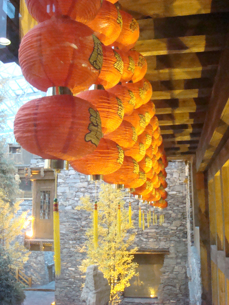 DSC01338.jpg DSC01338.jpg
