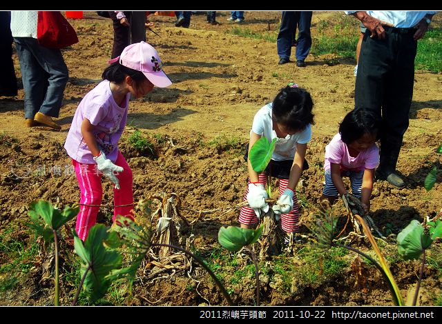 2011烈嶼芋頭節_15.jpg 2011烈嶼芋頭節_15.jpg