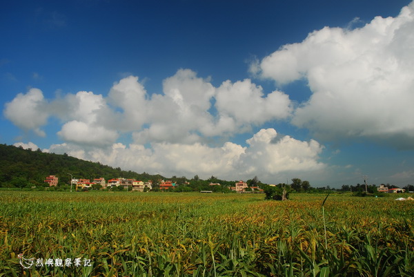 DSC_1214.jpg DSC_1214.jpg