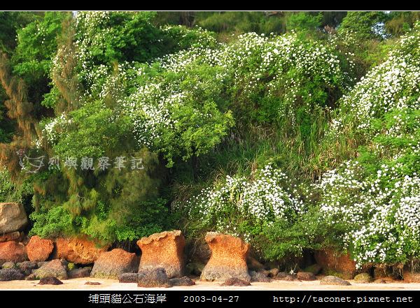 埔頭貓公石海岸-01.jpg 埔頭貓公石海岸-01.jpg