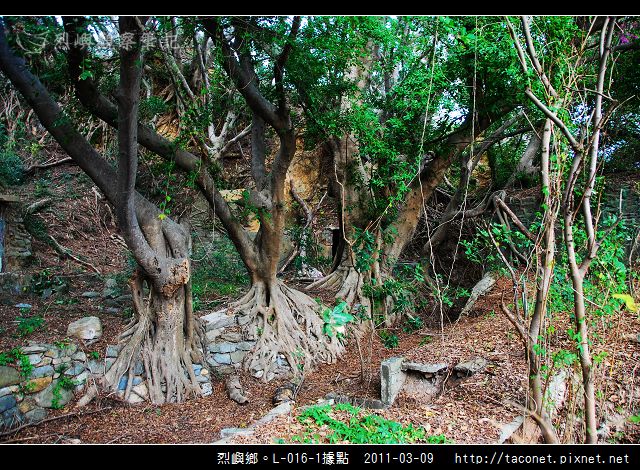 烈嶼鄉。L-016-1據點_19.jpg 烈嶼鄉。L-016-1據點_19.jpg