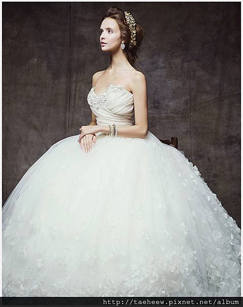 傘狀2.jpg 傘狀2.jpg