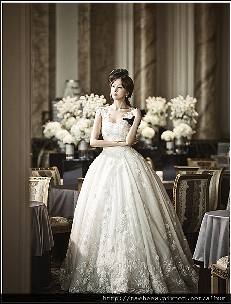 傘狀3.png 傘狀3.png