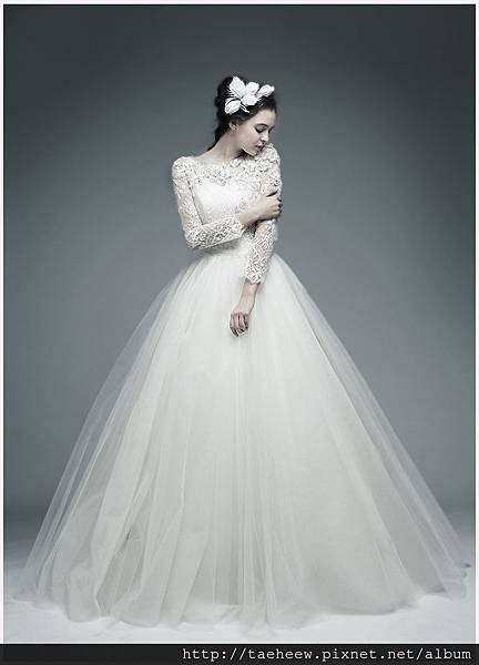 傘狀4.jpg 傘狀4.jpg