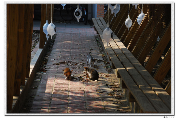 nEO_IMG_DSC_0302.jpg nEO_IMG_DSC_0302.jpg