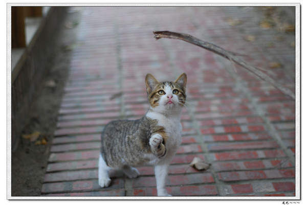 nEO_IMG_DSC_0376.jpg nEO_IMG_DSC_0376.jpg