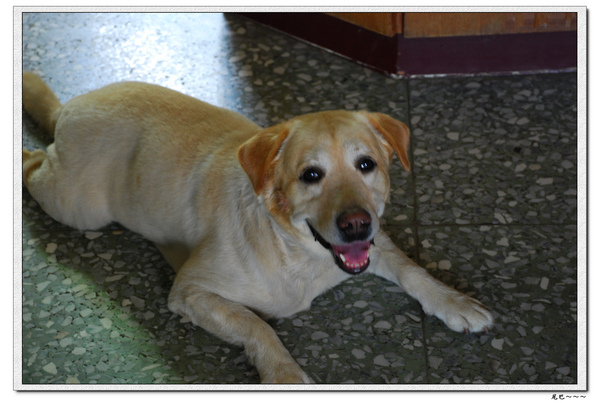 nEO_IMG_DSC_0292.jpg nEO_IMG_DSC_0292.jpg