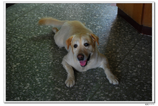 nEO_IMG_DSC_0294.jpg nEO_IMG_DSC_0294.jpg