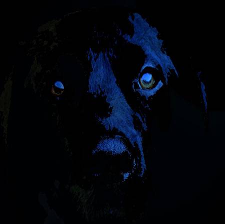 black_Dog_ghost