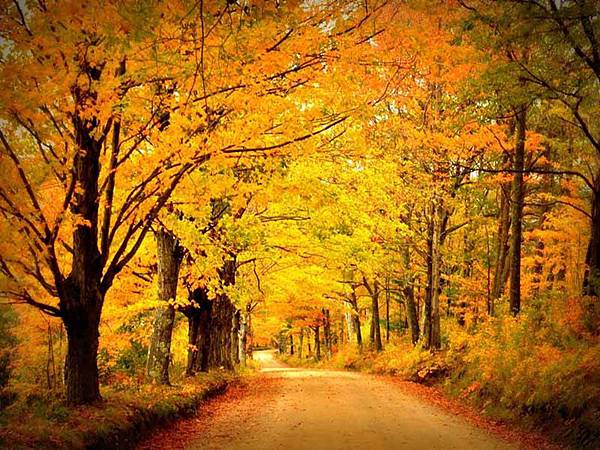 投影片3 投影片3