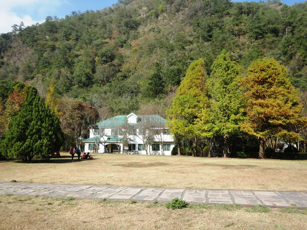 DSC02965.JPG DSC02965.JPG