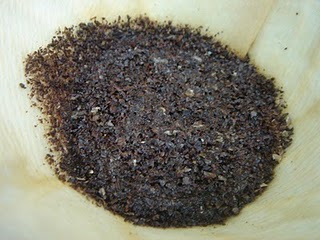 DSC00798.JPG DSC00798.JPG