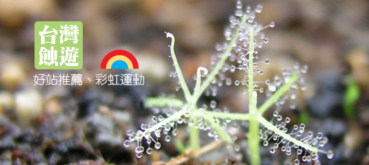 台灣蝕遊-好站推薦、彩虹運動.jpg 台灣蝕遊-好站推薦、彩虹運動.jpg