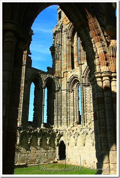 IMG_5568 IMG_5568