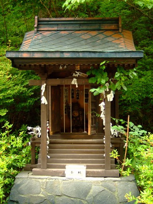 DSCF6013.jpg DSCF6013.jpg