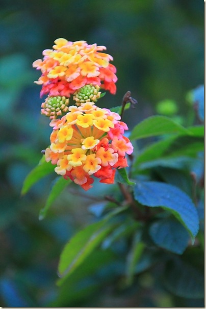 IMG_0030 IMG_0030
