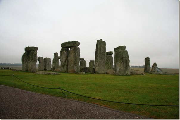 IMG_4950 IMG_4950