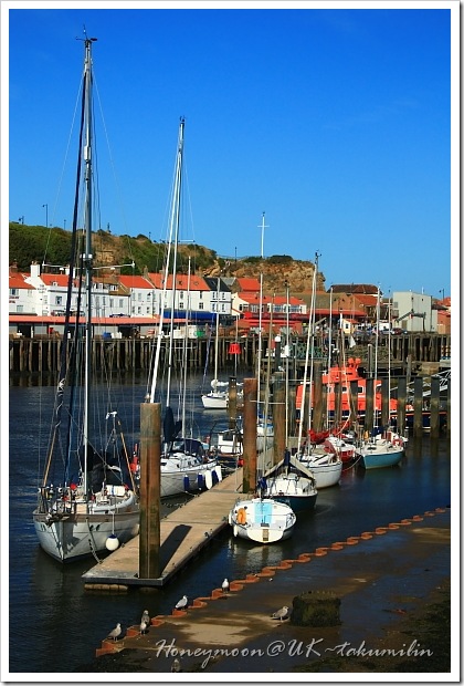 IMG_5476 IMG_5476
