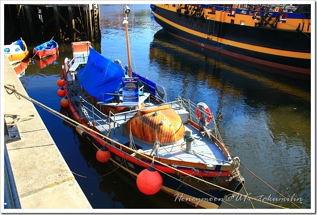 IMG_5457 IMG_5457