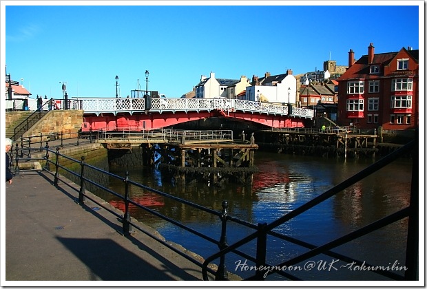 IMG_5466 IMG_5466