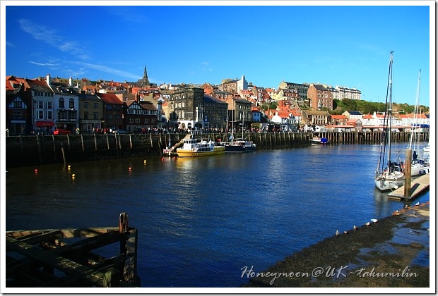 IMG_5474 IMG_5474