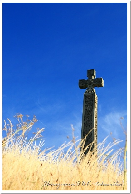 IMG_5587 IMG_5587