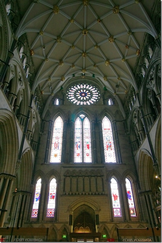 DPP_0007 DPP_0007