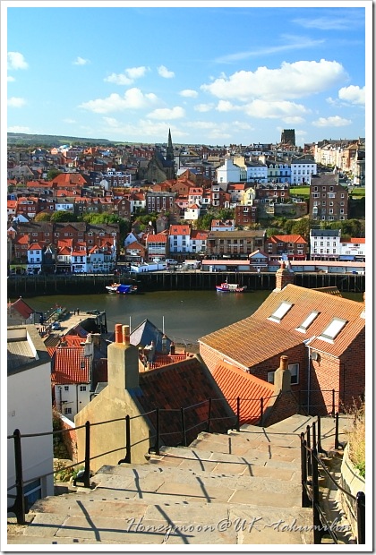IMG_5583 IMG_5583