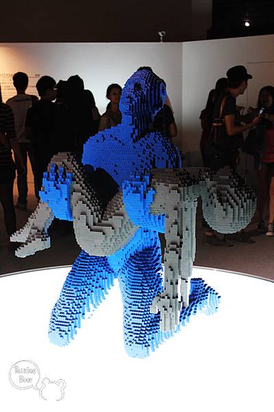 IMG_4271_nEO_IMG