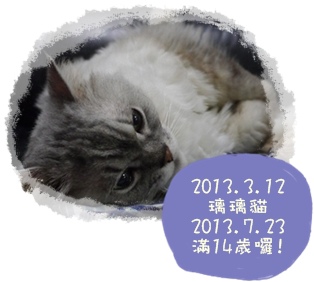 璃璃貓2013/7/26 14歲 璃璃貓2013/7/26 14歲