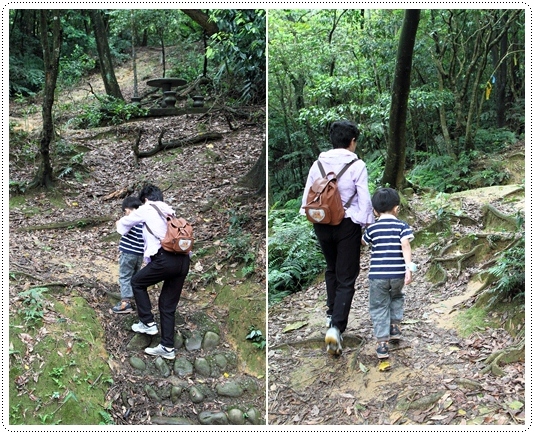 新山夢湖 (26) 新山夢湖 (26)