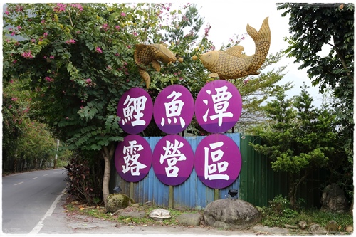 鯉魚潭露營區 (11).JPG 鯉魚潭露營區 (11).JPG