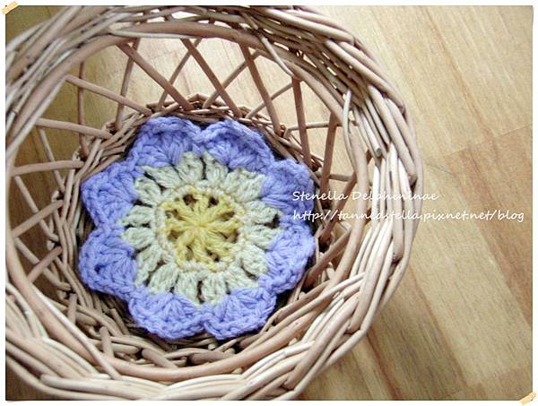 P6206133.JPG P6206133.JPG