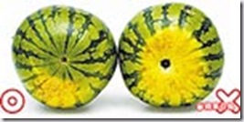 clip_image008 clip_image008